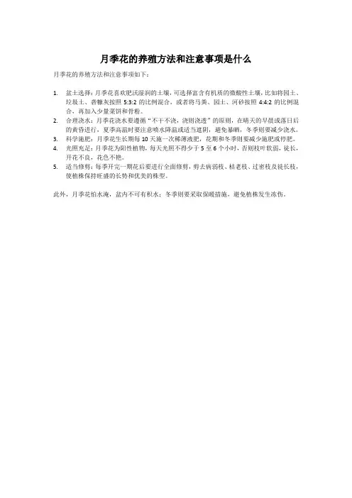月季花的养殖方法和注意事项是什么
