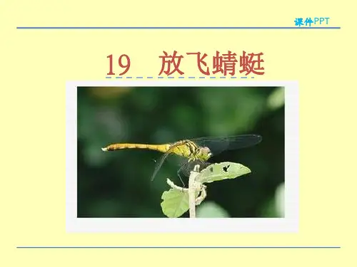 (赛课课件)苏教版三年级下册19放飞蜻蜓课件