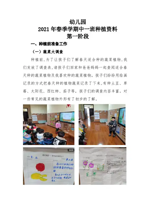幼儿园中一班下种植资料