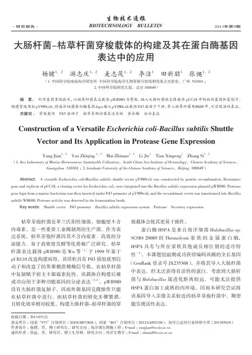 大肠杆菌-枯杆菌穿梭载体的构建及其在蛋白酶基因表达中的应用