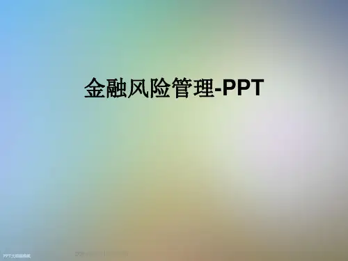 金融风险管理-PPT