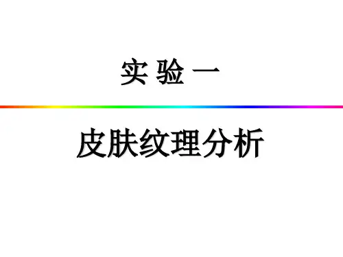 2019皮肤纹理分析