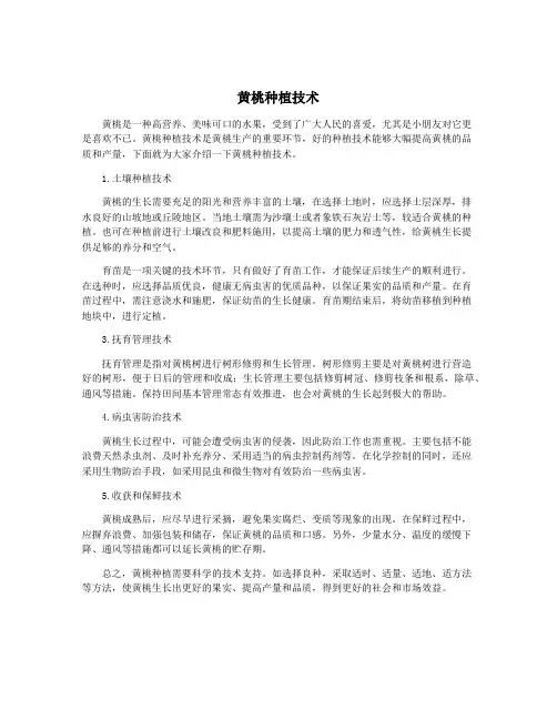 黄桃种植技术
