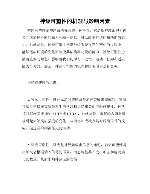 神经可塑性的机理与影响因素