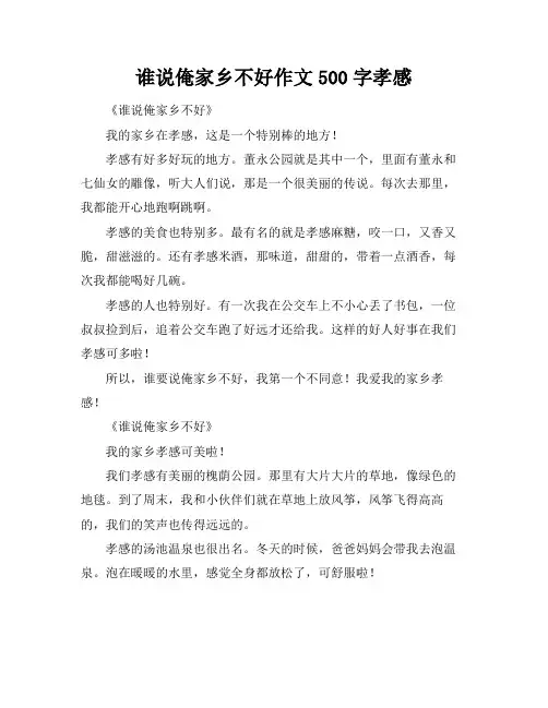 谁说俺家乡不好作文500字孝感