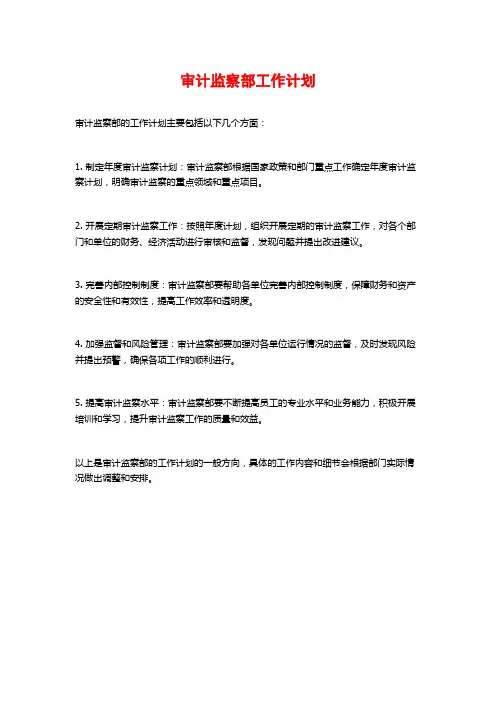 审计监察部工作计划