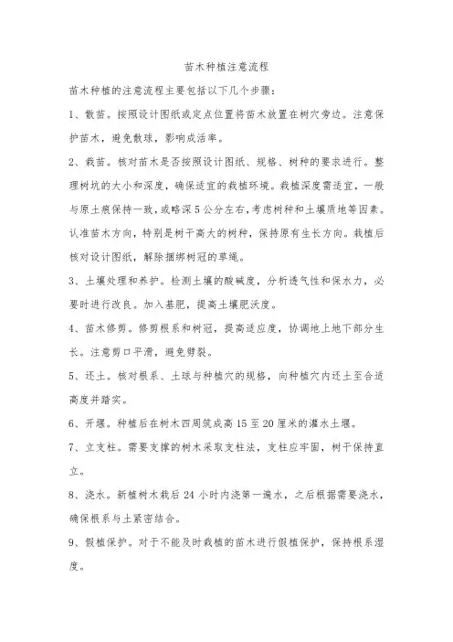苗木种植注意流程