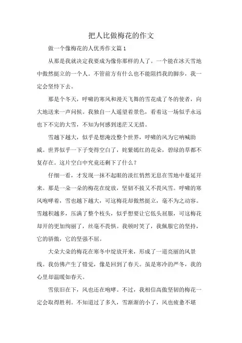 把人比做梅花的作文