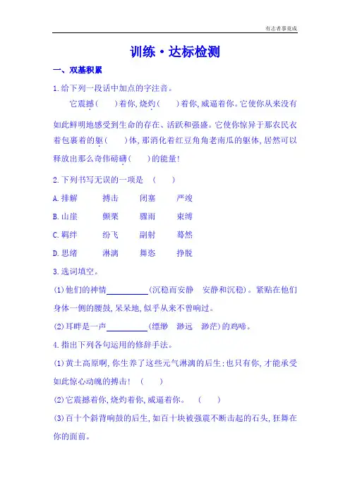 3《安塞腰鼓》精练精析(含答案)