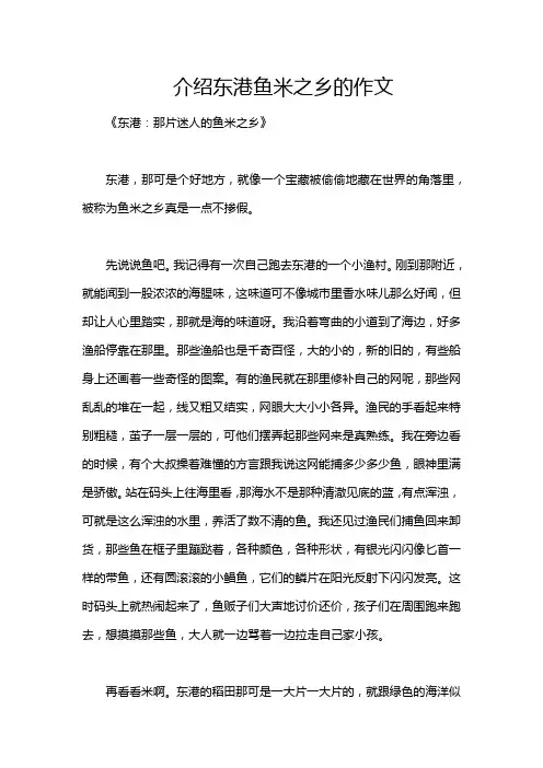 介绍东港鱼米之乡的作文