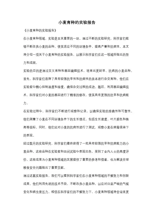 小麦育种的实验报告