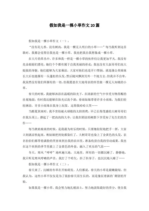 假如我是一棵小草作文20篇