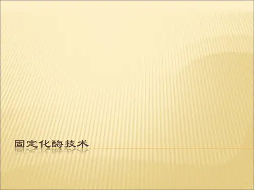 固定化酶技术ppt课件