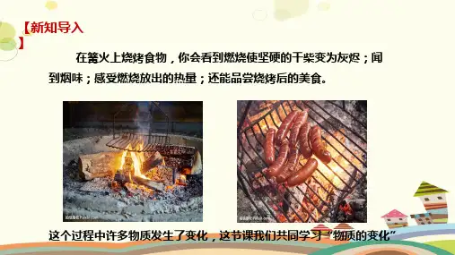 物质的变化 完整版课件