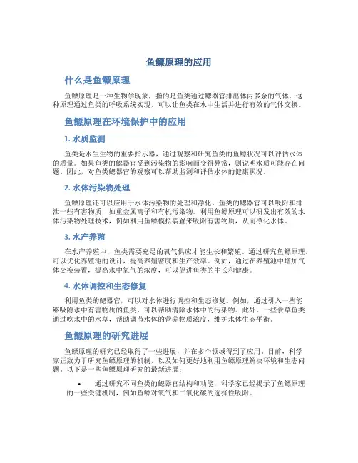鱼鳔原理的应用