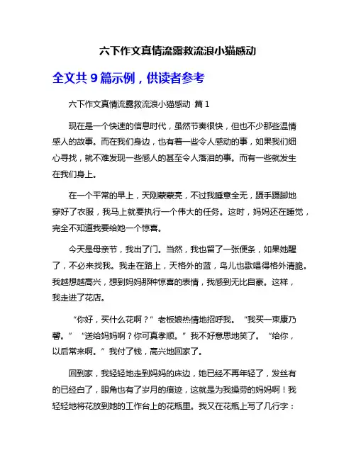 六下作文真情流露救流浪小猫感动