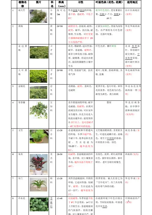 耐寒性地被植物统计表