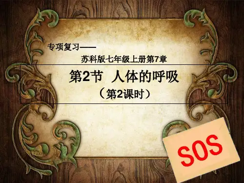 初中生物七年级上册人体的呼吸课件
