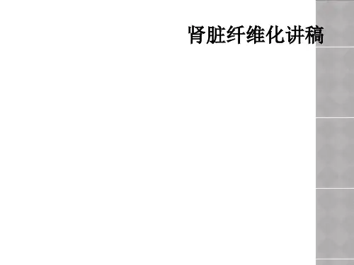 肾脏纤维化讲稿