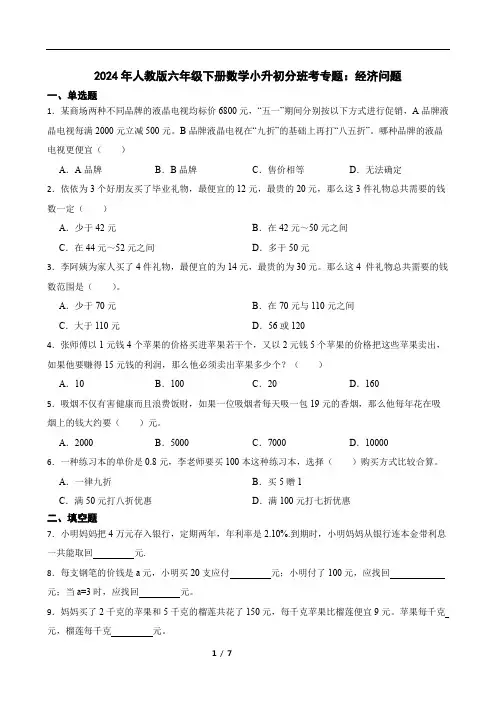 2024年人教版六年级下册数学小升初分班考专题：经济问题