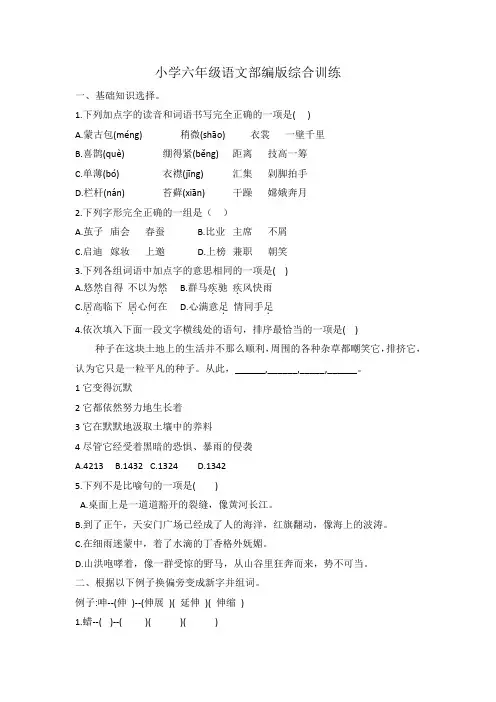 小升初语文综合训练17+试题2022-2023学年语文六年级下册-人教部编版(无答案)