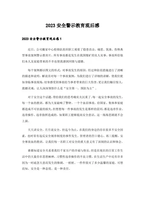 2023安全警示教育观后感