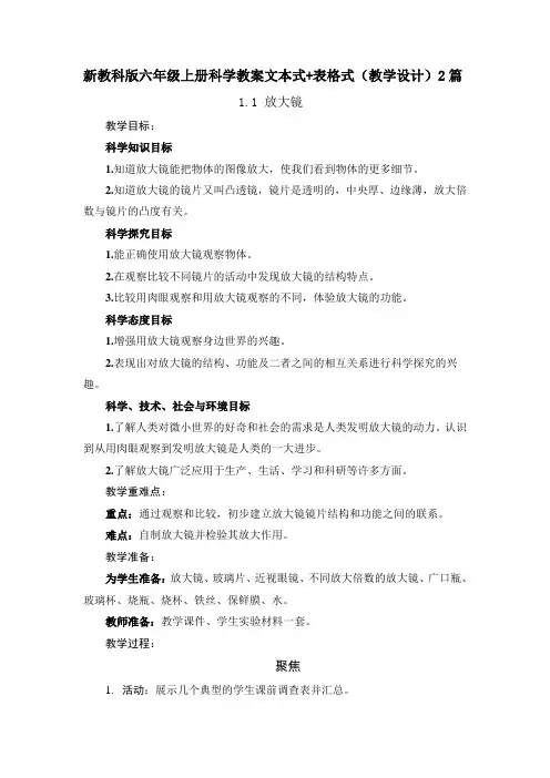 《放大镜》教案(文本+表格式)2篇(教学设计)