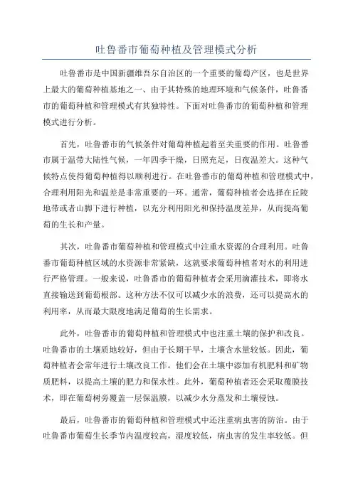 吐鲁番市葡萄种植及管理模式分析