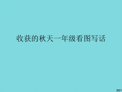 收获的秋天一年级看图写话(共10张PPT)