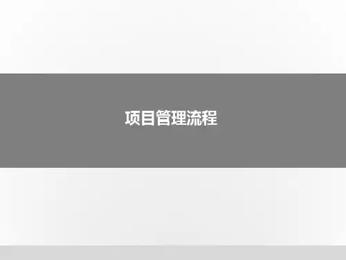 项目管理流程-PPT(精) (1)