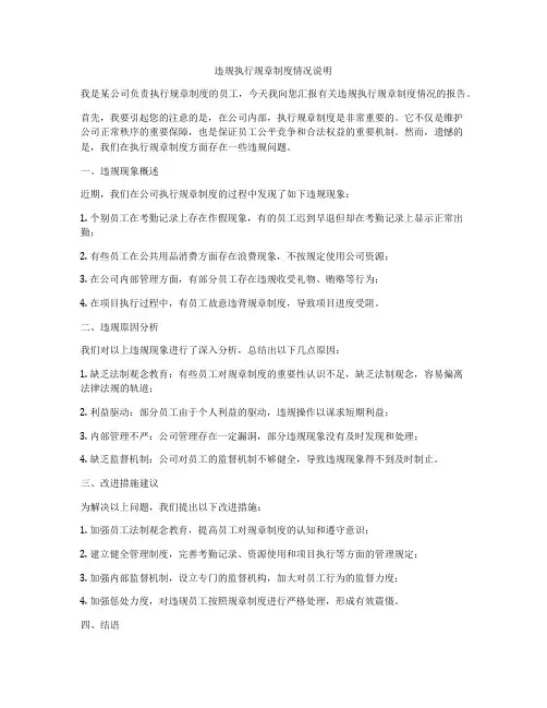 违规执行规章制度情况说明