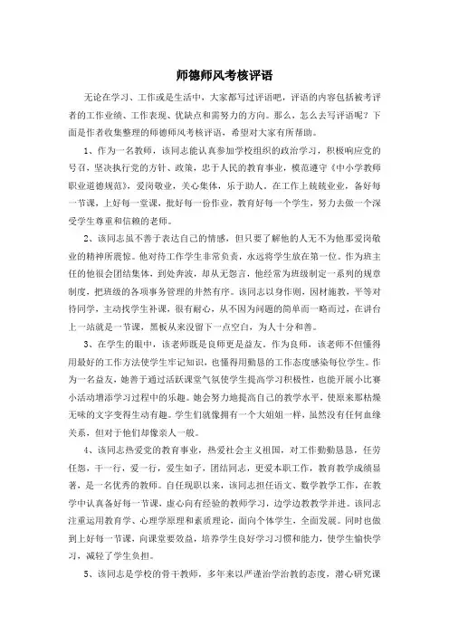 师德师风考核评语