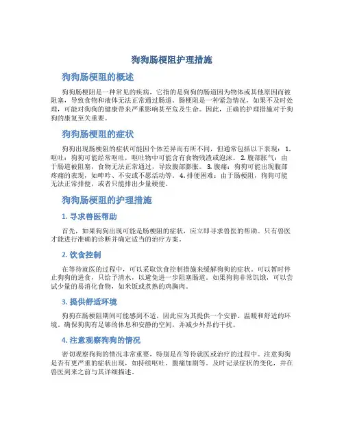 狗狗肠梗阻护理措施