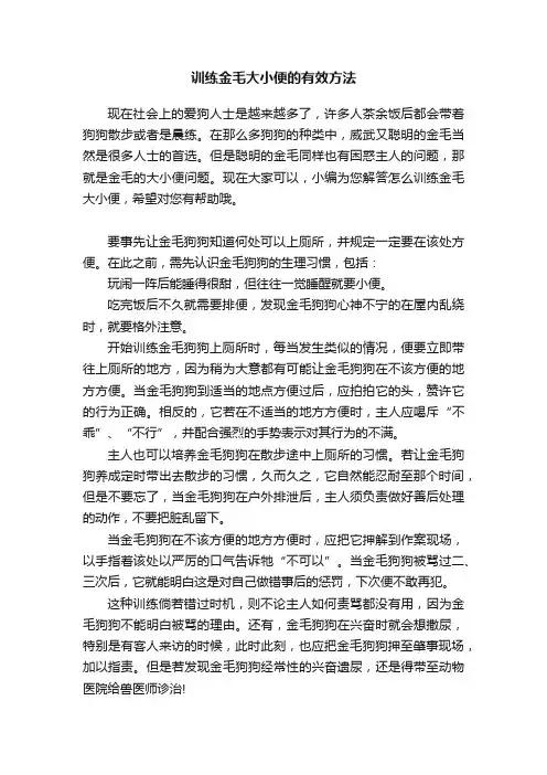 训练金毛大小便的有效方法