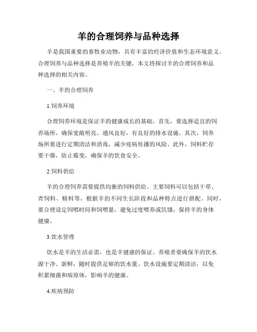 羊的合理饲养与品种选择