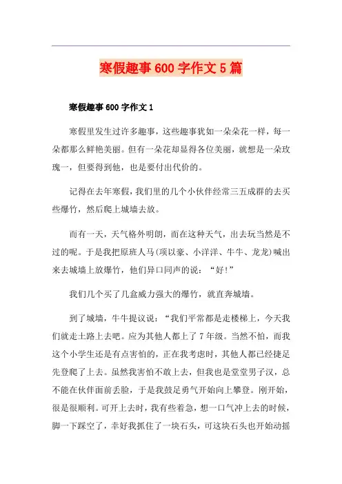 寒假趣事600字作文5篇