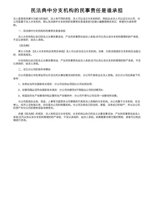 民法典中分支机构的民事责任是谁承担