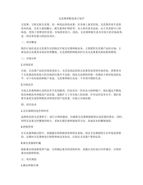 无花果种植创业计划书