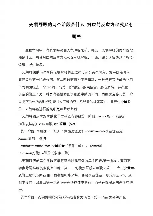 无氧呼吸的两个阶段是什么 对应的反应方程式又有哪些