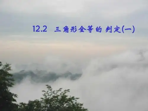 人教版八年级上册12.2三角形全等的判定课件(共19张PPT)