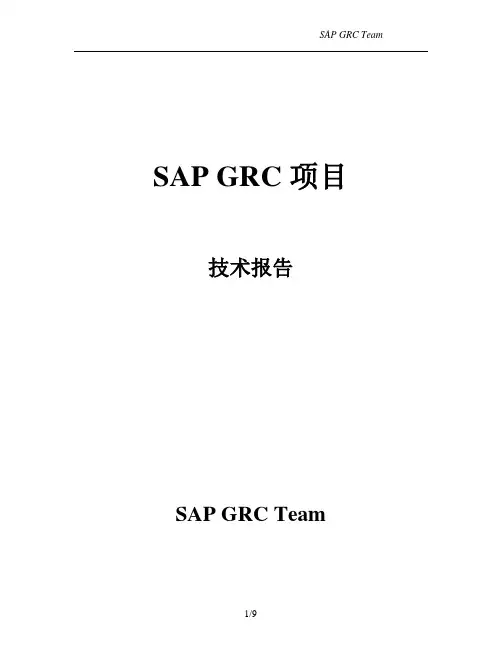 SAP GRC项目技术报告