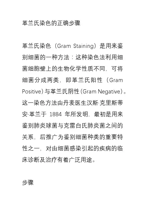 革兰氏染色的正确步骤