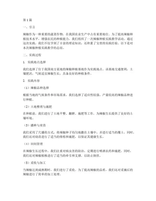 辣椒种植实践教学总结(3篇)