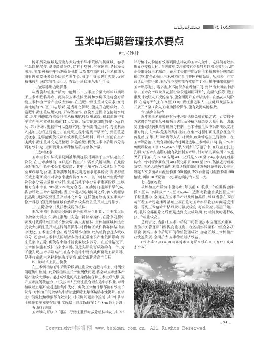 玉米中后期管理技术要点
