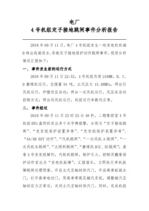 电厂定子接地保护动作跳闸事件分析报告