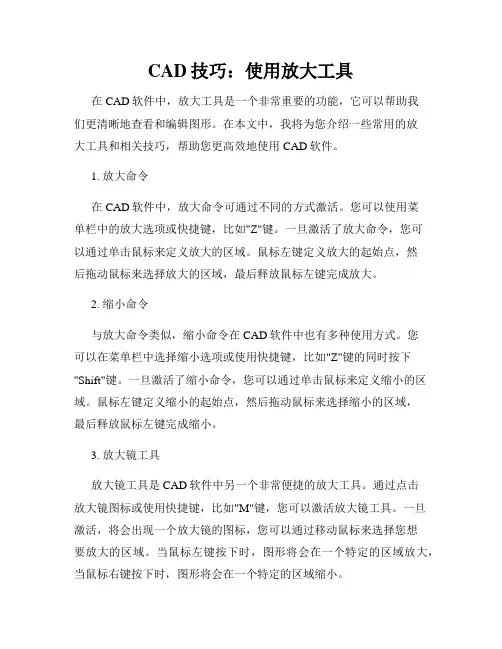 CAD技巧 使用放大工具
