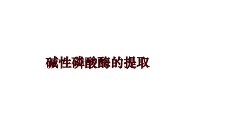 碱性磷酸酶的提取
