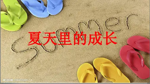 夏天里的成长 课件(共29张PPT)