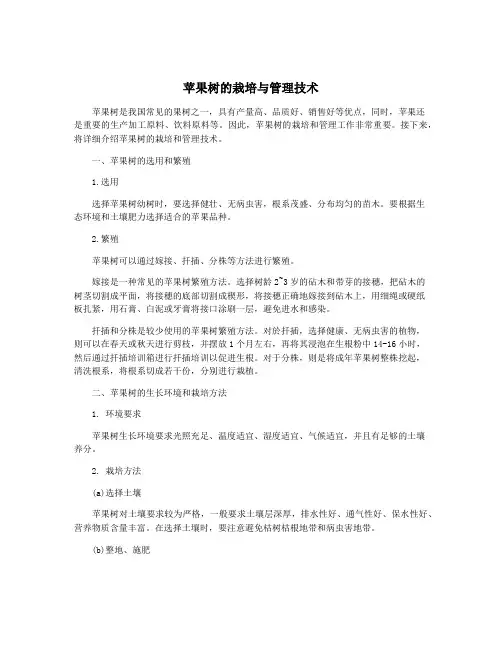 苹果树的栽培与管理技术
