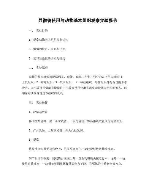 南京大学实验报告-显微镜使用与动物基本组织观察实验报告